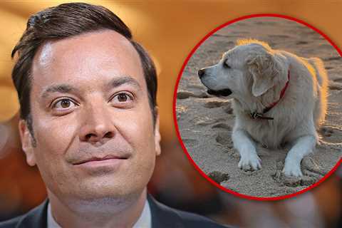 Jimmy Fallon Announces Death of Family Dog Gary