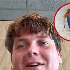 Florida Chicken-Egg Bar Shooter Thought He Was Being Conned, Witness Claims