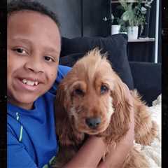 Boy Dies in Front of Family After Doctor Dismisses Sore Throat Complaint