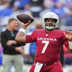 Cardinals duo’s fantasy football bonanza comes with some big red flags