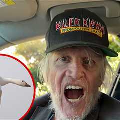 Gary Busey Loudly Honks Like a Goose in Bizarre Holiday Video
