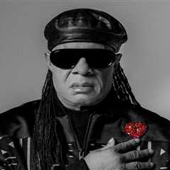 Stevie Wonder Cancels House Full of Toys Benefit Concert: ‘Big Idea, Little Time’