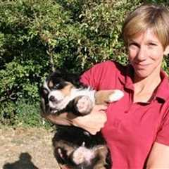 Shark Attack Victim Washes Up On Beach in Northern California