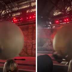 Disney World Employee Gets Clobbered by Giant Boulder on Video