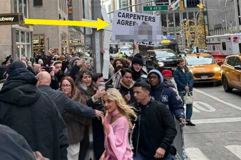 This Sabrina Carpenter Fan's Sign Is Going Viral After That Whole White House Incident