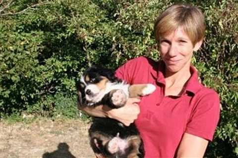 Shark Attack Victim Washes Up On Beach in Northern California