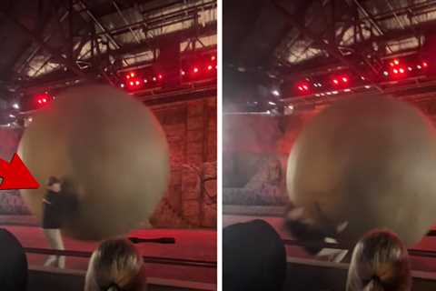 Disney World Employee Gets Clobbered by Giant Boulder on Video