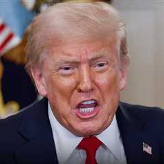 President Trump Criticizes Alex Pretti for Possessing 'Very Powerful' Gun