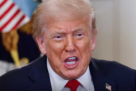 President Trump Criticizes Alex Pretti for Possessing 'Very Powerful' Gun