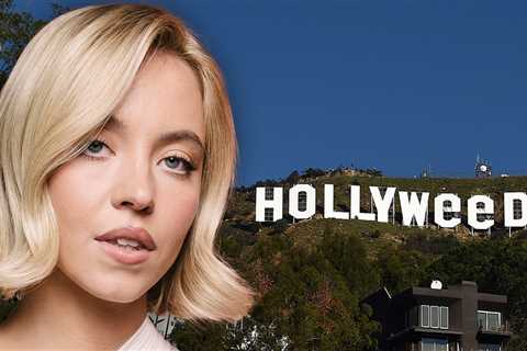No Free Pass For Sydney Sweeney Hollywood Sign Stunt, 'Hollyweed' Artist Says