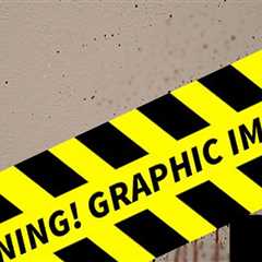 Bryan Kohberger's Bloody Murder Spree Seen In New Photo Dump