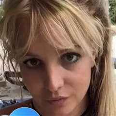 Britney Spears Alleges Former Bodyguard Hacked Into Her iCloud Account