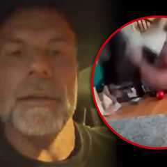 Man Arrested After Brutal Dog Assault Caught on Camera in Connecticut