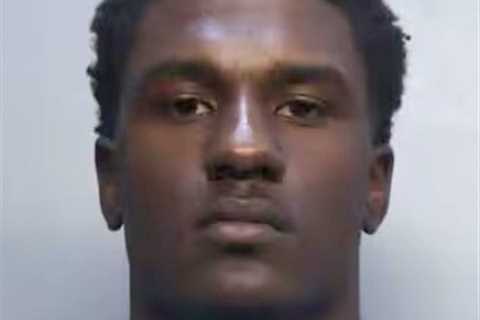 WNBA star Rickea Jackson feared Falcons’ James Pearce Jr. ‘will kill me’ as she files order of..