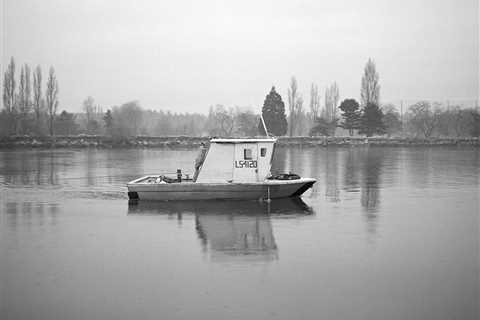 “Tree Work” by Photographer Reave Dennison