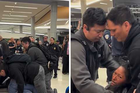 ICE Officers Handcuff a Mother at San Francisco Airport, on Video