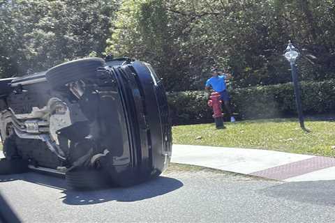 Tiger Woods spotted using cell phone on side of road after alleged Florida DUI crash