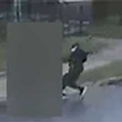 Michigan Teen Girl Abducted From School Bus Stop at Gunpoint, on Video