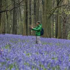 TuneCore Partners With EarthPercent & Sounds Right to ‘Weave Planetary Care Into the Fabric’ of..