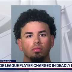 Atlanta Braves turn in minor league prospect who allegedly fled Florida crash that killed a father..