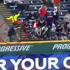 Rays reporter comes to rescue after man wrestles ball away from young fan