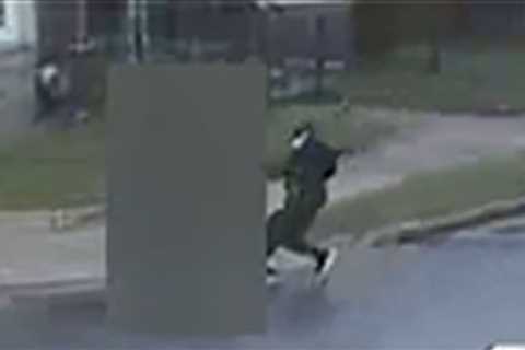 Michigan Teen Girl Abducted From School Bus Stop at Gunpoint, on Video