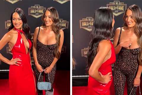 Nikki Bella on WrestleMania Red Carpet in Walking Boot As Rumors Fly About Big Return