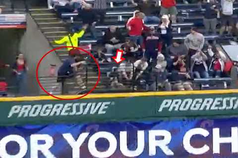 Rays reporter comes to rescue after man wrestles ball away from young fan