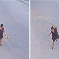 Florida Woman Charged After Brutally Throwing and Kicking Dog, on Video