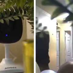 Michigan Tenants Say They Caught Landlord Having Sex In Their Home