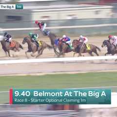 Jockey thrown off horse high into air in scary Aqueduct scene