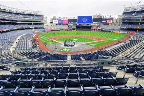 Viral ‘chicken’ ice cream bucket is back at Yankee Stadium — here’s where fans can get it