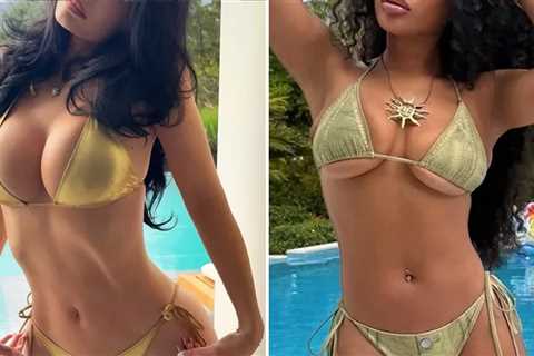 Met Gala Gals In Their ... Bikinis Guess Who!
