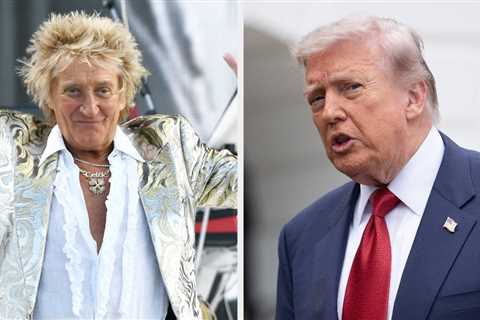 Rod Stewart's Brutally British Nickname For Donald Trump Is Going Viral