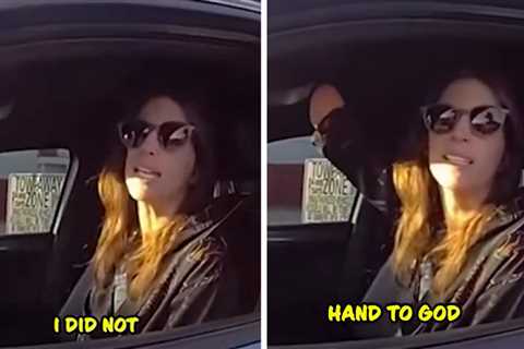 Woman Pulled Over for Holding a Phone with a Hand She Doesn't Have, Ticket Dismissed