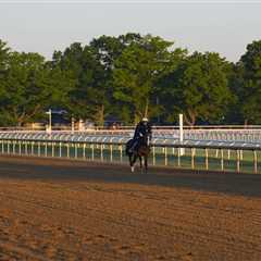 2026 Belmont Stakes picks: Best bets, long shots, exactas, trifectas