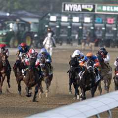 Horse racing can give glimpse into ugly side of human condition