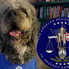 LAPD Hasn't Apologized For Fatally Shooting Knicks Fan's Dog, Family Claims