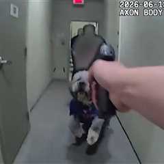 LAPD Officer Fired Multiple Times in Shooting that Killed Dog, Watch Bodycam