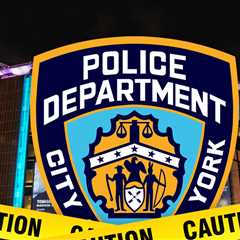 Madison Square Garden Concertgoer Dies After Fall During Goose Performance