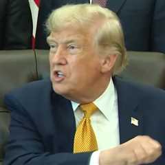 Trump Says Vandals, Not Contractors to Blame for Algae in Reflecting Pool