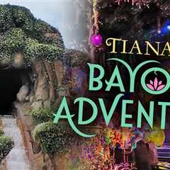 Boy Plunges 50 Feet at Disneyland's Tiana’s Bayou Adventure After Climbing Out Mid-Ride
