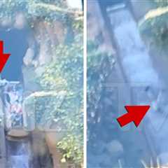 New Video Shows Boy Plunging 50 Feet at Disneyland's Tiana’s Bayou Adventure