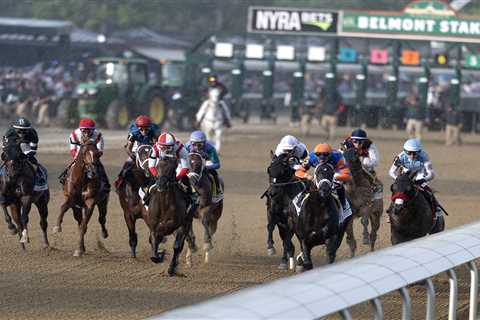 Horse racing can give glimpse into ugly side of human condition