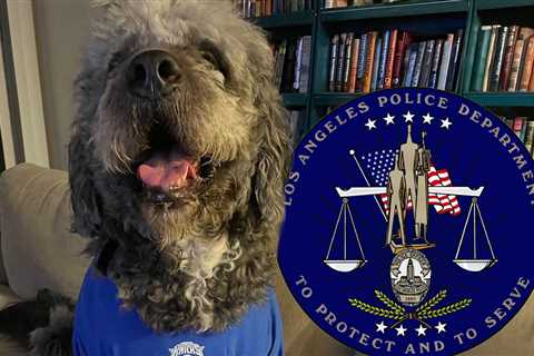LAPD Hasn't Apologized For Fatally Shooting Knicks Fan's Dog, Family Claims