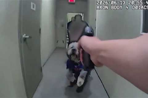 LAPD Officer Fired Multiple Times in Shooting that Killed Dog, Watch Bodycam
