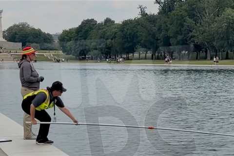 Lincoln Memorial Reflecting Pool Water Retested For Algae After Renovations