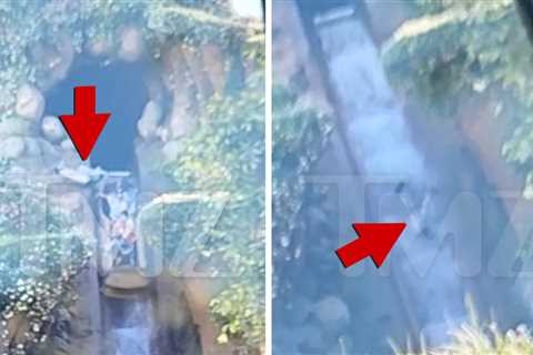 New Video Shows Boy Plunging 50 Feet at Disneyland's Tiana’s Bayou Adventure