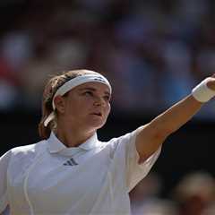 Wimbledon women’s final pick: Linda Noskova vs. Karolina Muchova prediction, odds, best bet