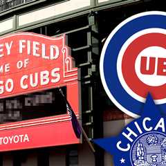 Chicago Police Aware of Viral Cubs Fan National Anthem Slap